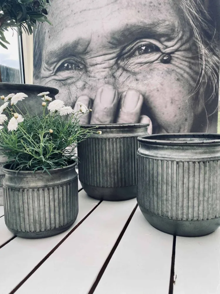 Zink potte med riller - Mellem