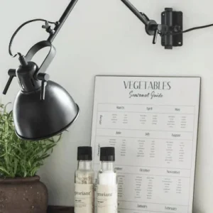 Lampe 2-arm t/montering på væg kan svinges