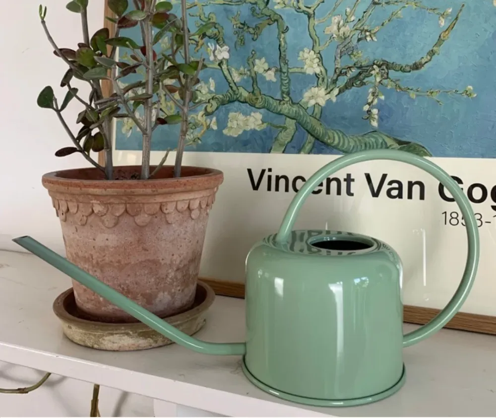 Vandkande 0,9 Liter (Pastel grøn)