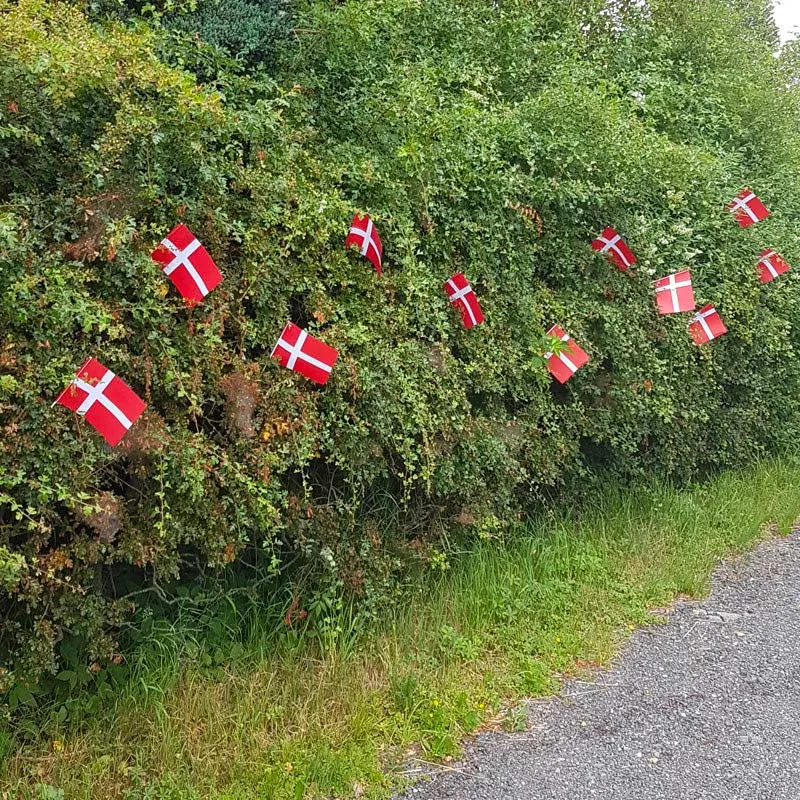 Fødselsdags flag i papir - A5, 1 stk.