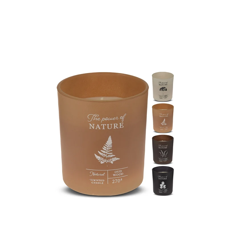 Premium Stainless Steel Duftlys i mat glas assorteret