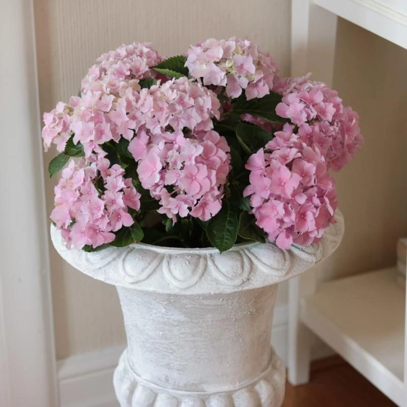 Skjuler Urtepotte Blomsterkrukke Pokal Antik kridt - 45cm