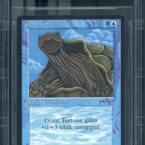 Giant Tortoise ebony BGS 9Q+ [Arabian Nights]